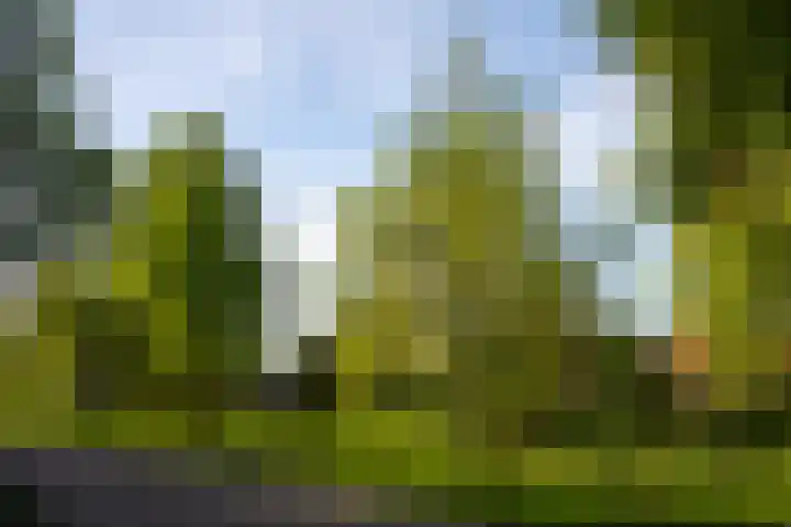 Molensingel 83 Delft thumbnail 71
