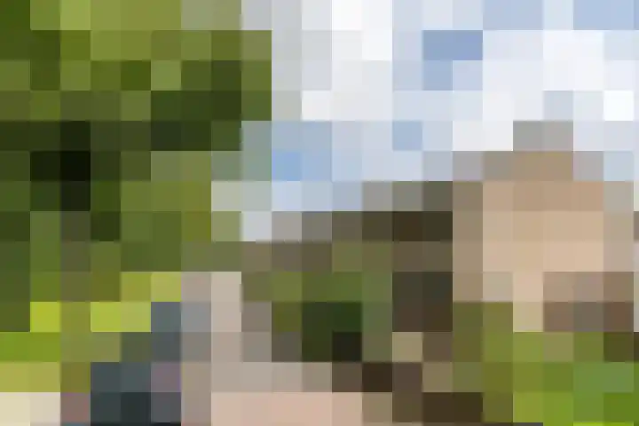 Molensingel 83 Schiedam thumbnail 41