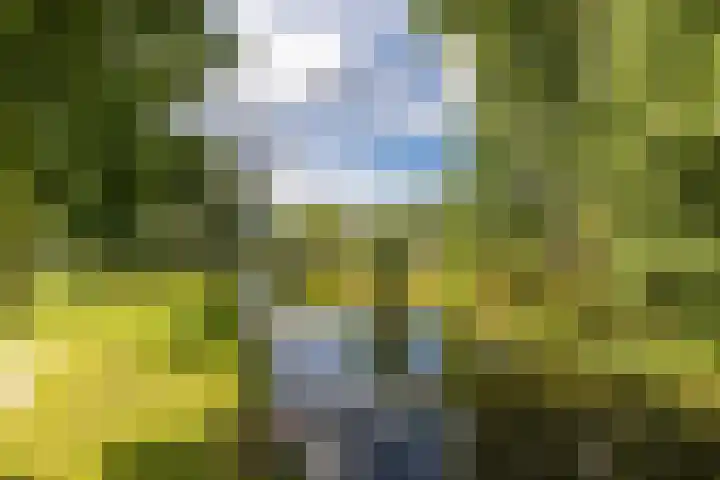 Molensingel 83 Schiedam thumbnail 44