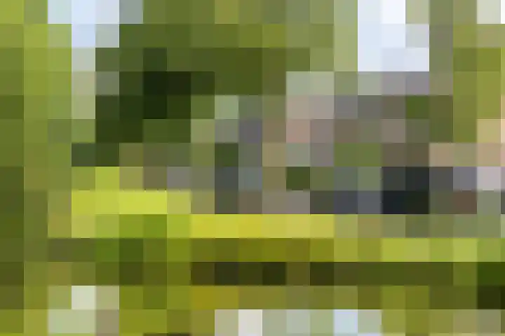 Molensingel 83 Schiedam thumbnail 5
