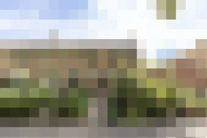 Molensingel 83 Schiedam thumbnail 50