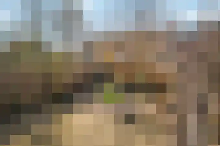 Molensingel 92 Rotterdam thumbnail 14