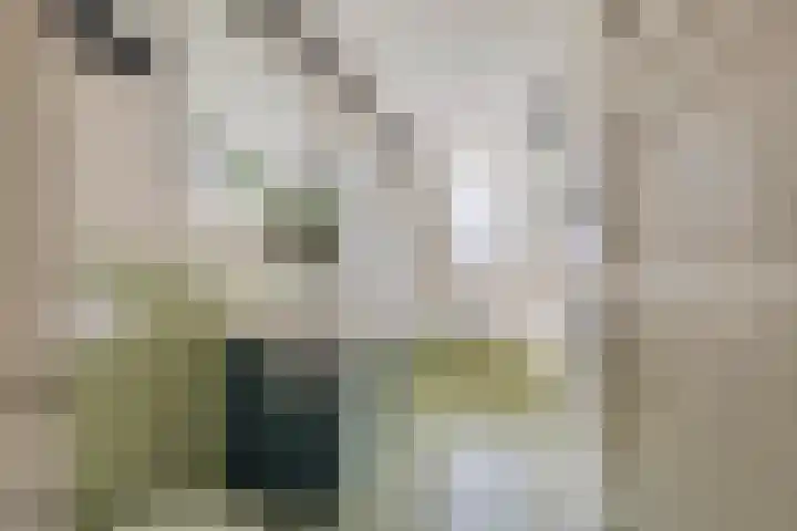 Molensingel 92 Rotterdam thumbnail 26