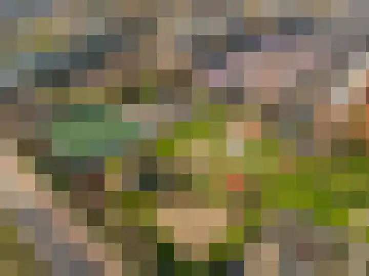 Molensingel 92 Rotterdam thumbnail 47