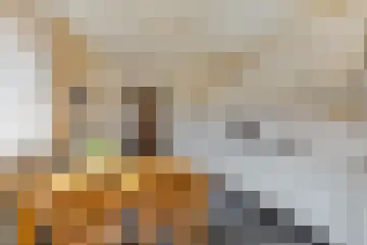 Molensteeg 2 Drunen thumbnail 13