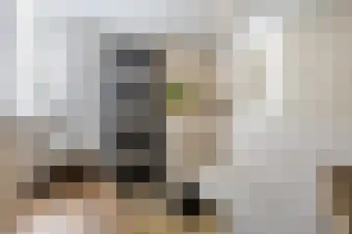 Molensteeg 2 Drunen thumbnail 22