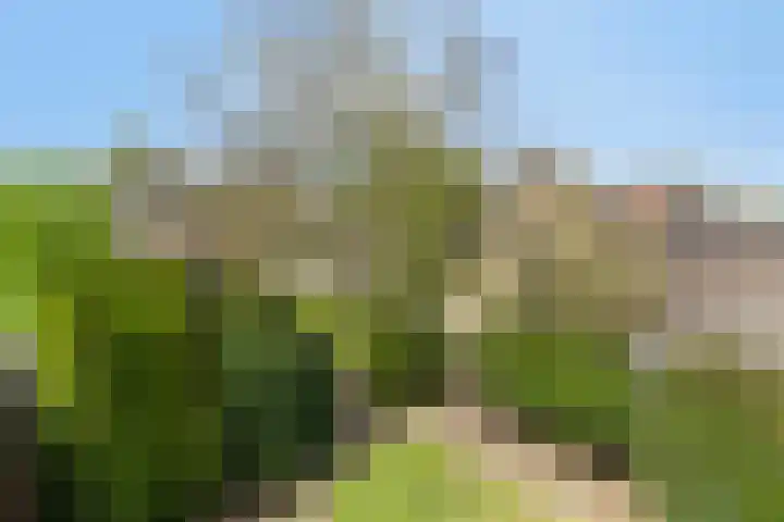 Molensteeg 2 Drunen thumbnail 28