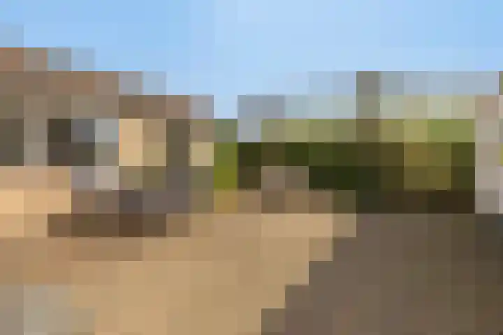 Molensteeg 2 Drunen thumbnail 29