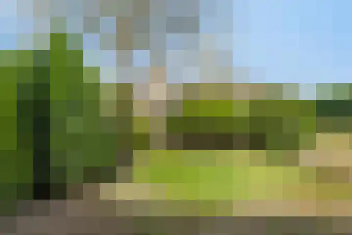 Molensteeg 2 Drunen thumbnail 32
