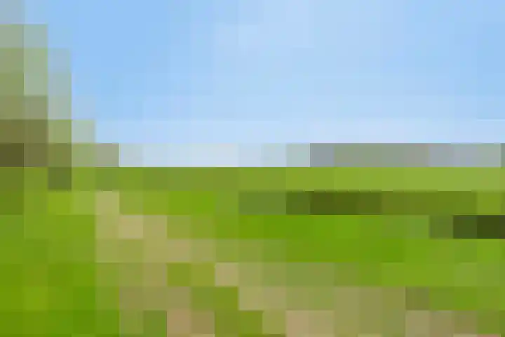 Molensteeg 2 Drunen thumbnail 37