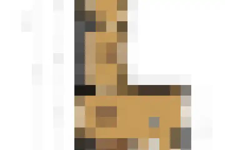 Molensteeg 2 Drunen thumbnail 40