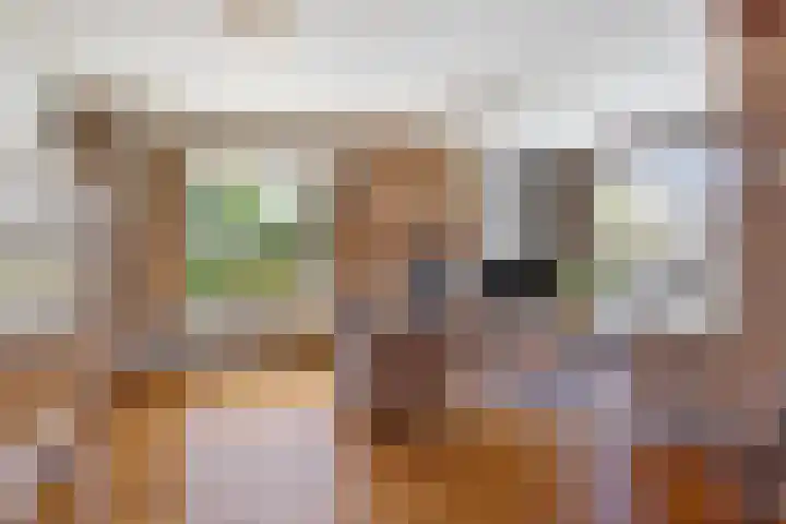Molensteeg 2 Drunen thumbnail 6