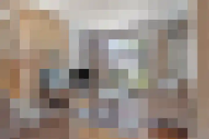 Molensteeg 2 Drunen thumbnail 7