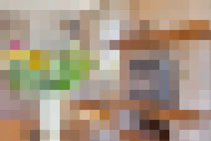 Molensteeg 2 Drunen thumbnail 9