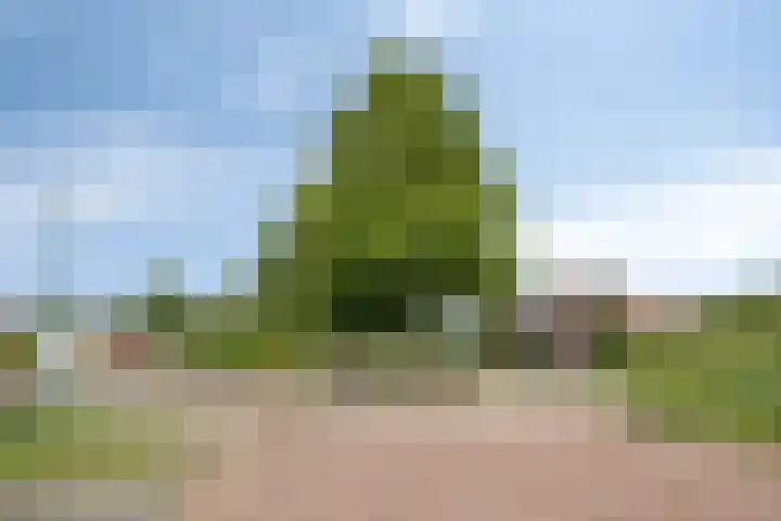 Molensteen 13 Nistelrode thumbnail 31