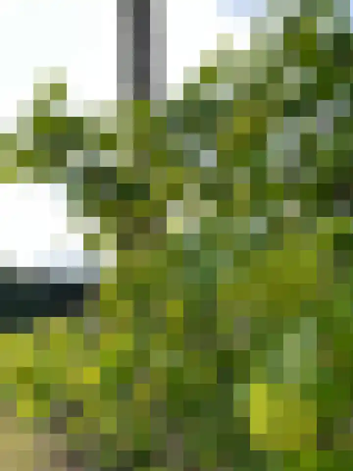 Molenstraat 10 Heumen thumbnail 45