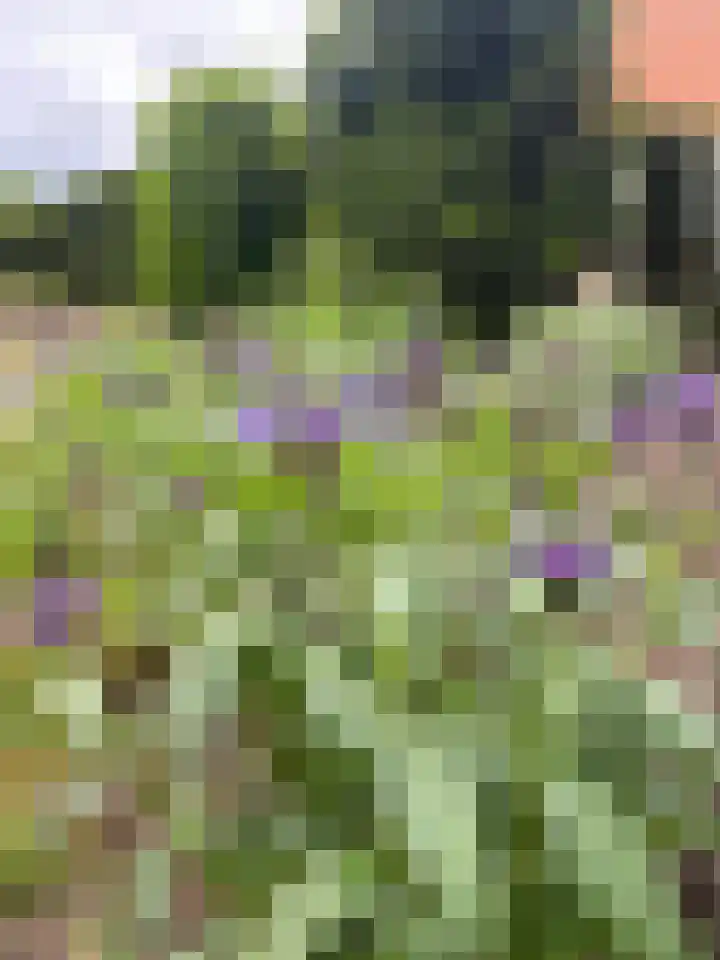 Molenstraat 10 Heumen thumbnail 46
