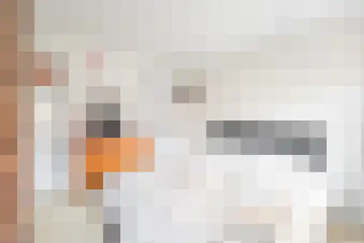Molenstraat 108 Monster thumbnail 17
