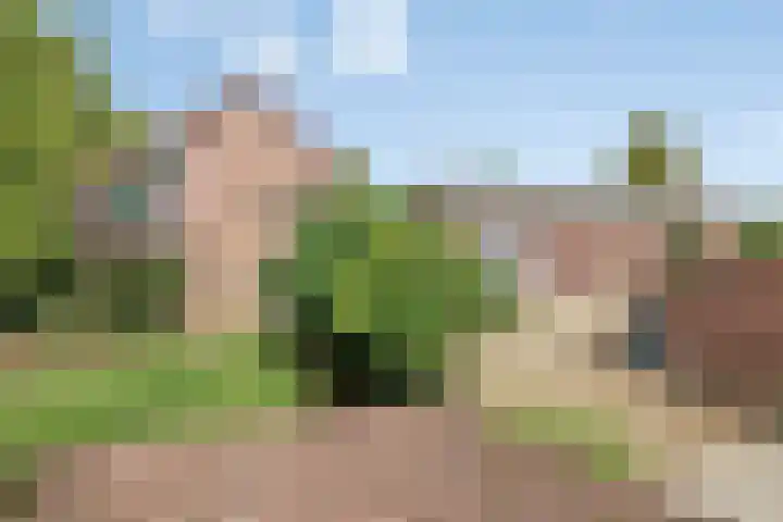 Molenstraat 11 Appeltern thumbnail 10