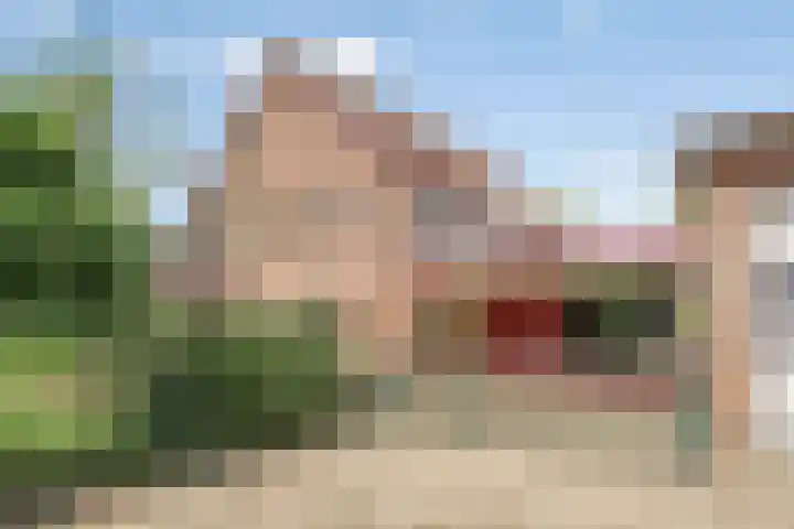 Molenstraat 11 Appeltern thumbnail 11
