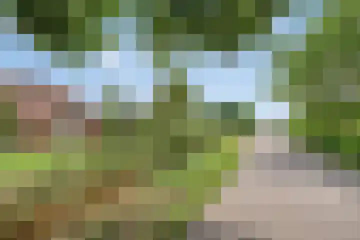 Molenstraat 11 Appeltern thumbnail 12