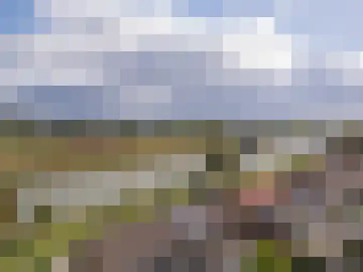 Molenstraat 11 Appeltern thumbnail 14