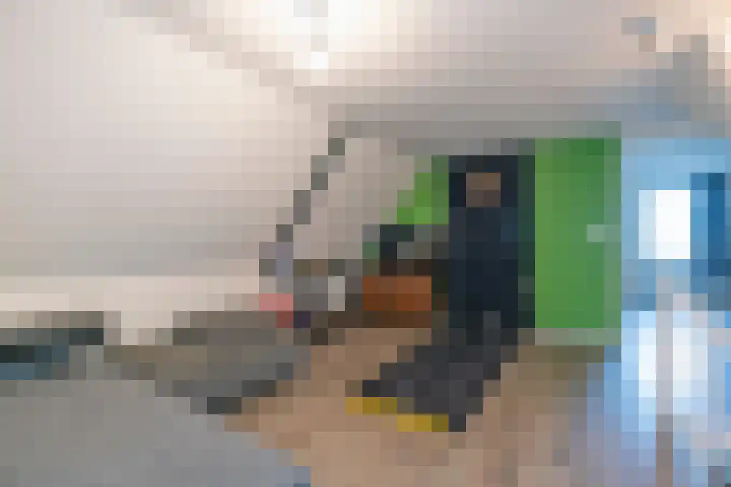 Molenstraat 11 Appeltern thumbnail 16