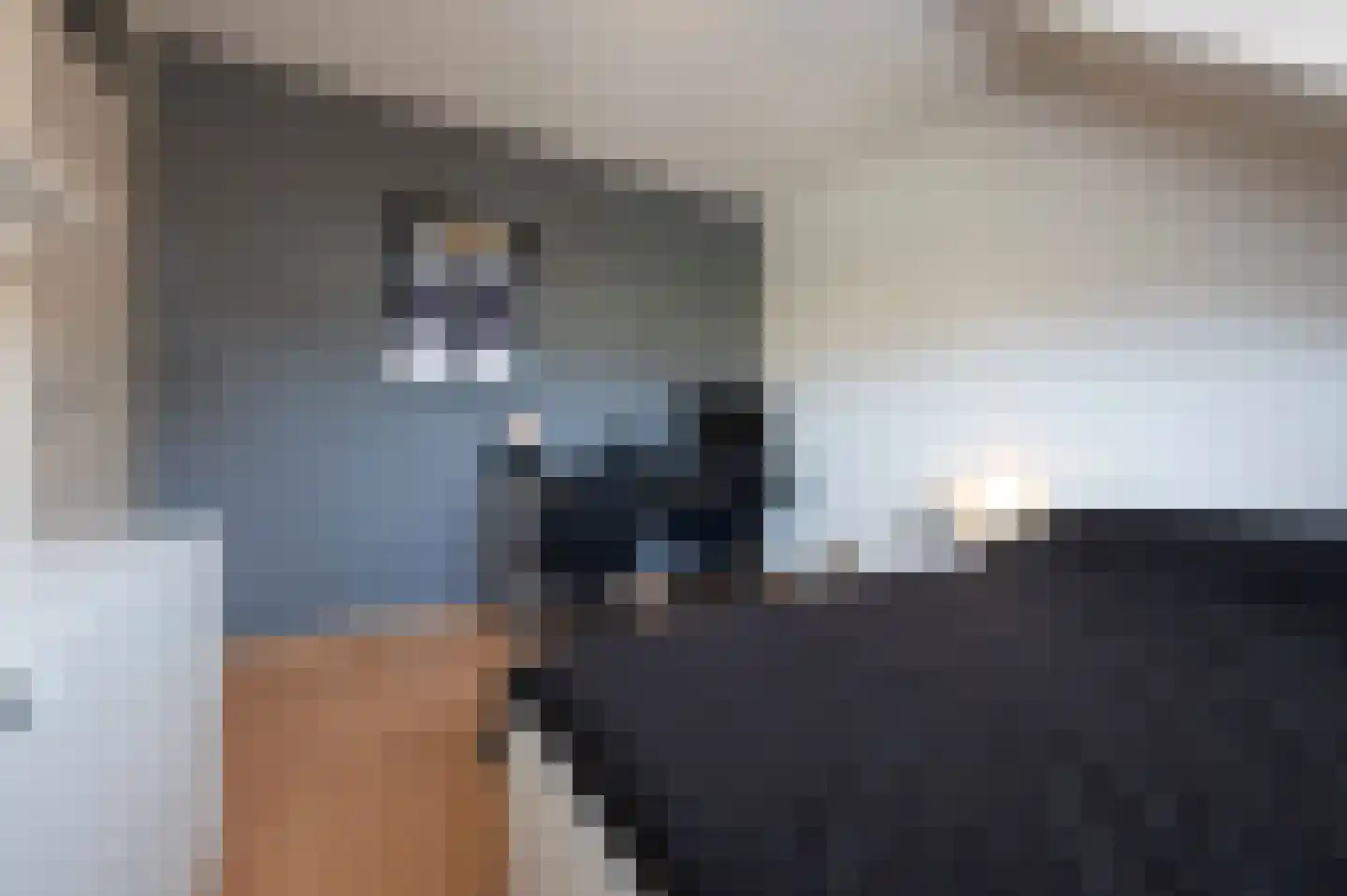 Molenstraat 11 Appeltern thumbnail 18