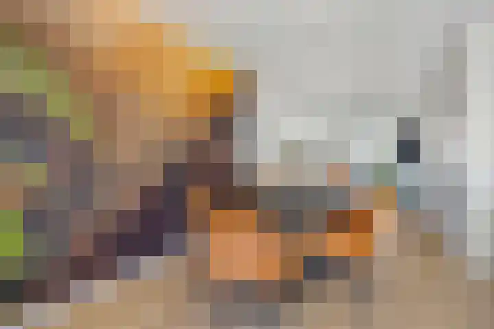Molenstraat 11 Appeltern thumbnail 22