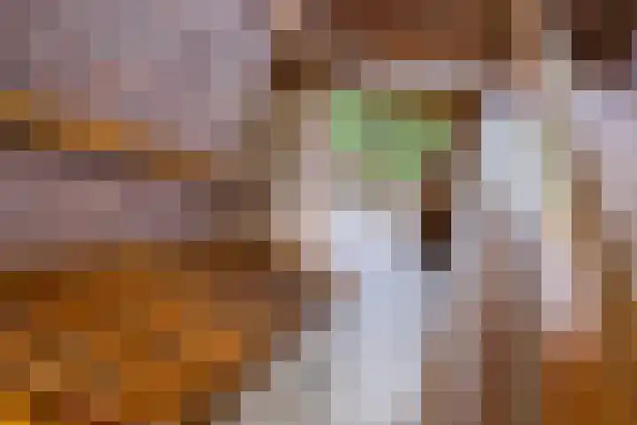 Molenstraat 11 Appeltern thumbnail 32