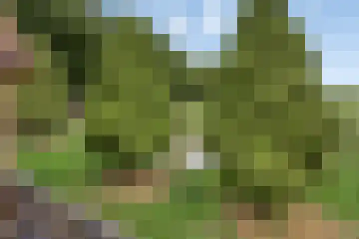 Molenstraat 11 Appeltern thumbnail 38