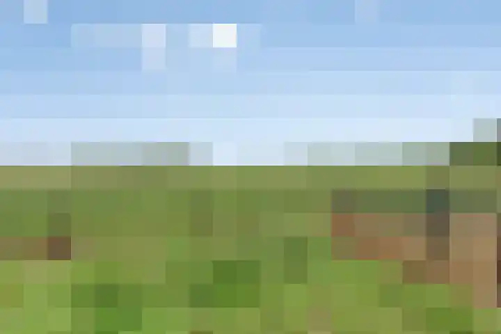 Molenstraat 11 Appeltern thumbnail 4