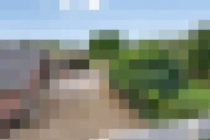 Molenstraat 11 Appeltern thumbnail 46