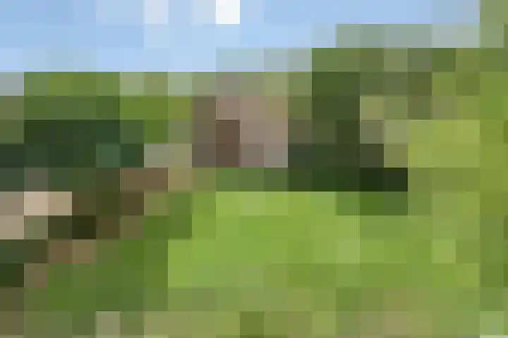 Molenstraat 11 Appeltern thumbnail 47