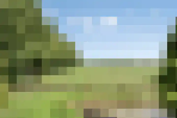 Molenstraat 11 Appeltern thumbnail 49