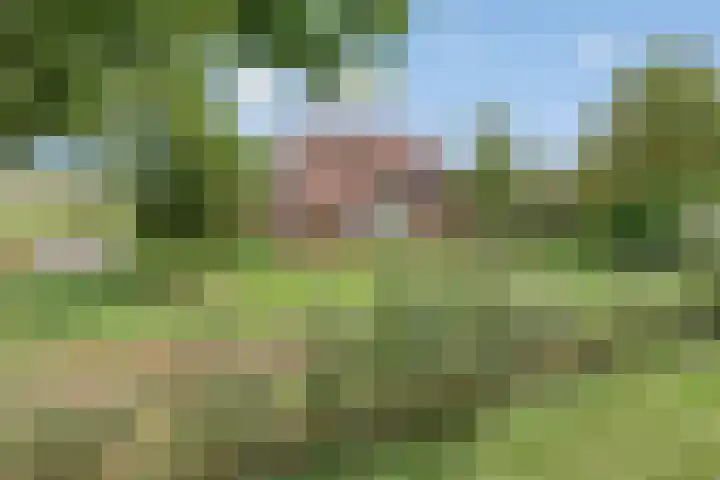 Molenstraat 11 Appeltern thumbnail 5