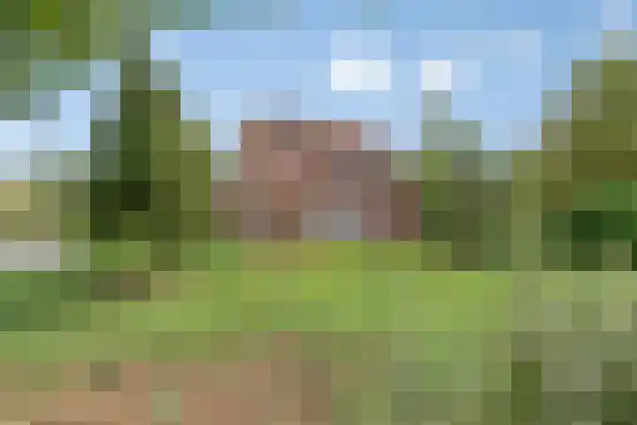 Molenstraat 11 Appeltern thumbnail 6