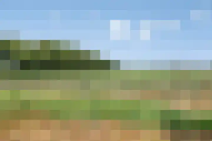 Molenstraat 11 Appeltern thumbnail 62