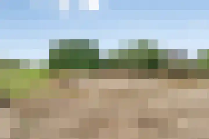 Molenstraat 11 Appeltern thumbnail 68