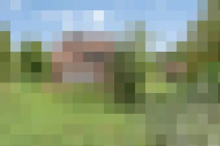 Molenstraat 11 Appeltern thumbnail 7
