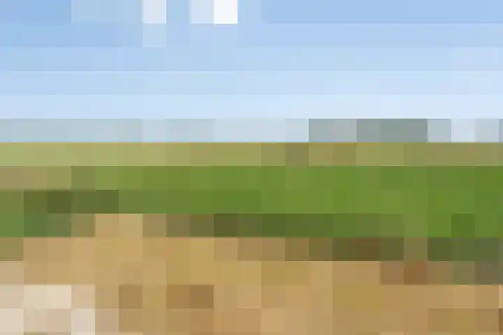 Molenstraat 11 Appeltern thumbnail 70