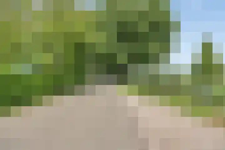 Molenstraat 11 Appeltern thumbnail 72