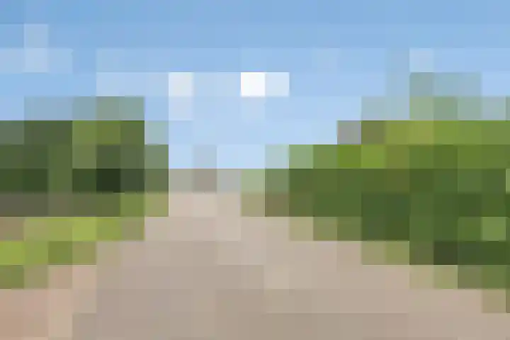 Molenstraat 11 Appeltern thumbnail 73