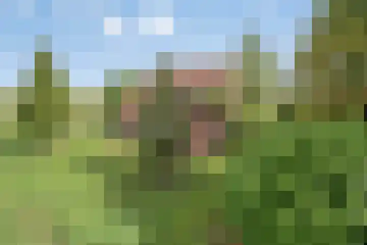 Molenstraat 11 Appeltern thumbnail 8