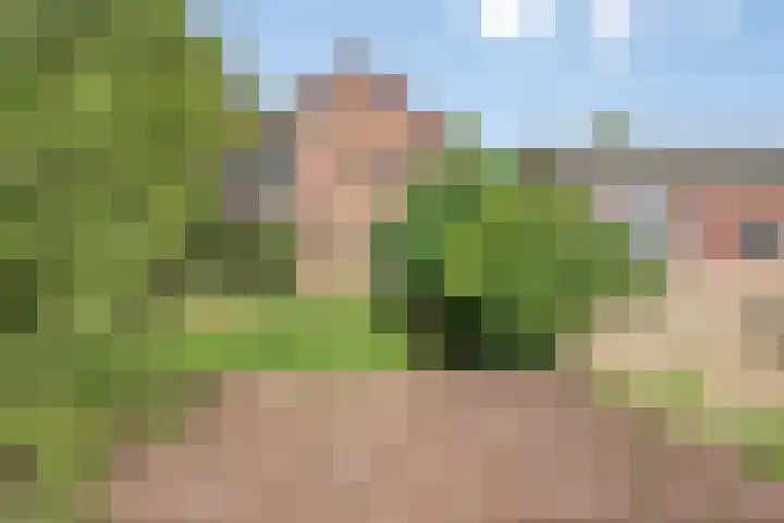 Molenstraat 11 Appeltern thumbnail 9
