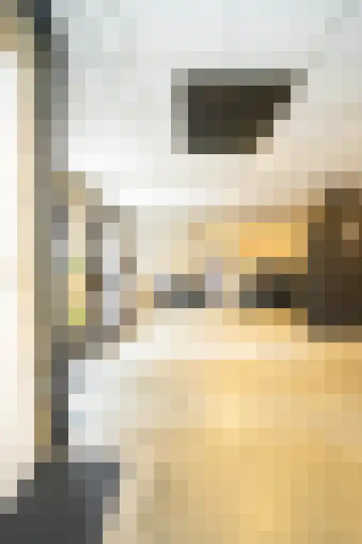 Molenstraat 11 Asten thumbnail 24
