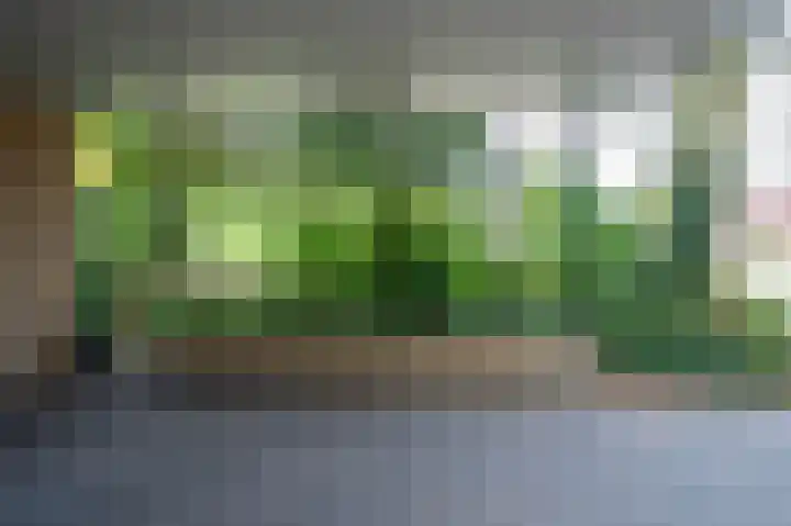Molenstraat 11 Asten thumbnail 33