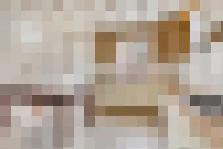 Molenstraat 12 Gemert thumbnail 10