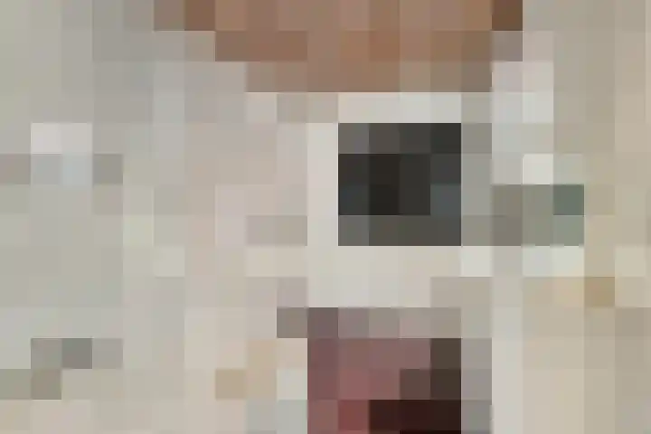 Molenstraat 12 Gemert thumbnail 18