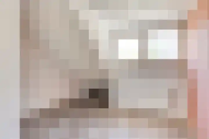 Molenstraat 12 Gemert thumbnail 20